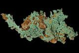 Natural, Native Copper with Quartz - Morocco #117696-1